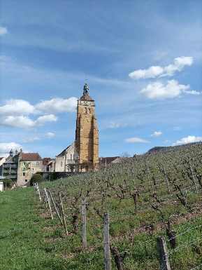 Via Temporis | Visite guidée à Arbois, Jura | Eglise Saint Just Arbois Via Temporis | Visite guidée à Arbois, Jura | Eglise Saint Just Arbois