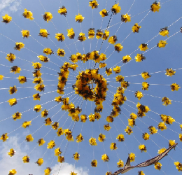 Via Temporis | Visite guidée à Arbois, Jura | Décoration fontaine Arbois Via Temporis | Visite guidée à Arbois, Jura | Décoration fontaine Arbois